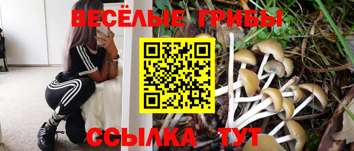Галлюциногенные грибы Cubensis  Вход с VPN  Минусинск 